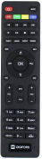 Пульт для Digifors HD 50 Ali, HD 70, HD 100 *